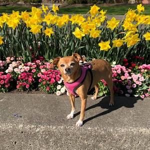 Meet your Posher, Maria de lurdes